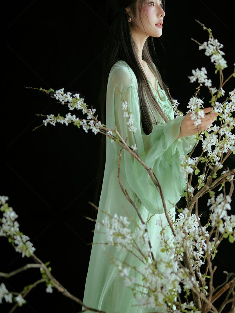 中国風の緑色のドレス伝統的でありながら現代的な改良版漢服写真 - Ethnic Fashion Studio のレビューと価格